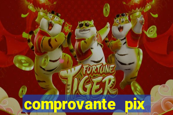comprovante pix fake meme